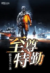 《至尊特勤》小说封面