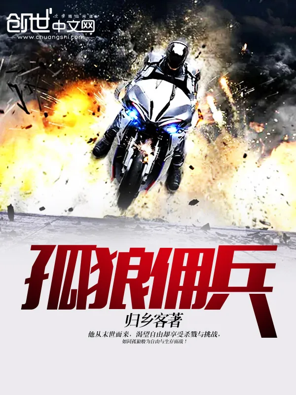 《孤狼佣兵》小说封面