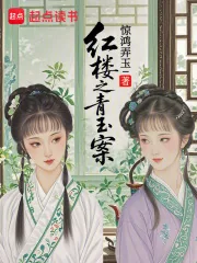 《红楼：金钗请自重，我是搜查官》小说封面