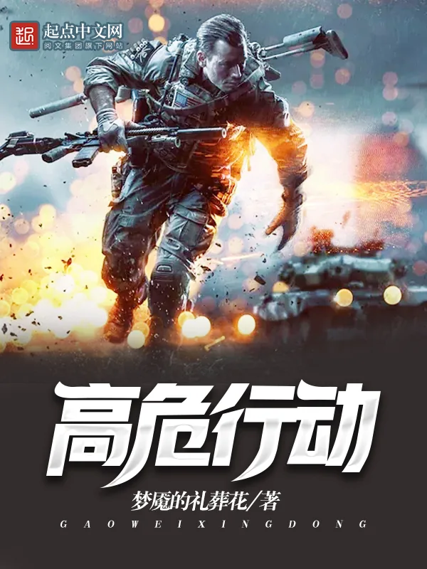 《高危行动》小说封面