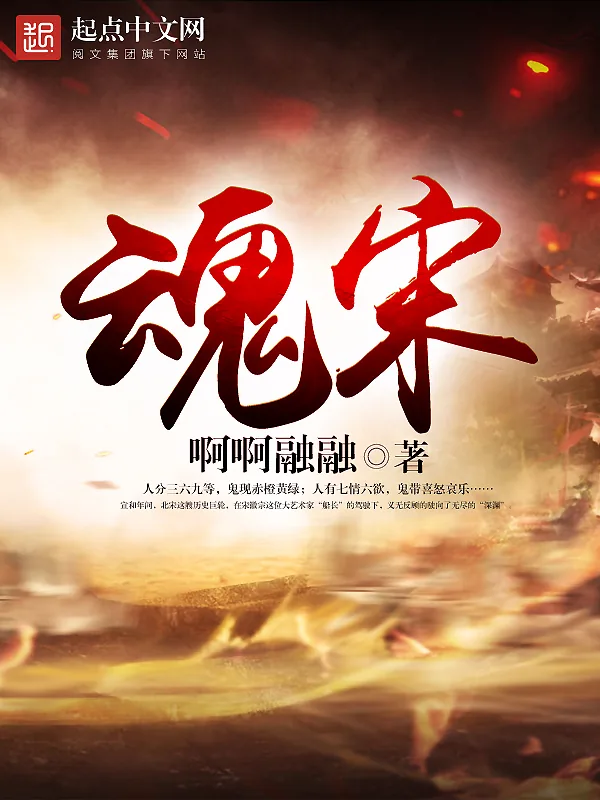 《魂宋》小说封面