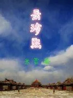 《岳珍熙》小说封面