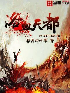 《浴血天都》小说封面