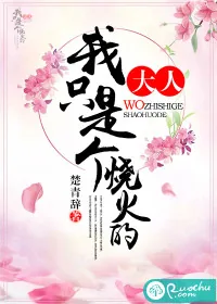《大人，我只是个烧火的》小说封面