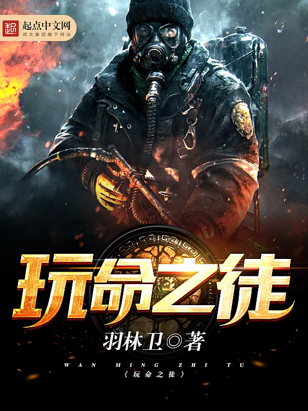 《玩命之徒》小说封面