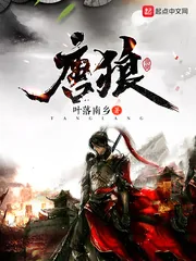 《唐狼》小说封面