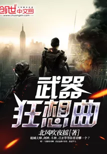 《武器狂想曲》小说封面