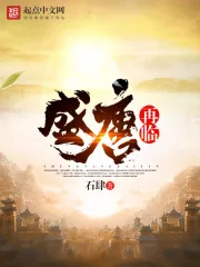 《盛唐再临》小说封面