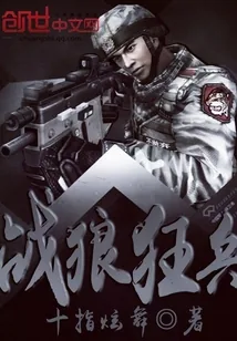 《战狼狂兵》小说封面