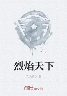 《烈焰天下》小说封面