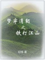 《梦穿清朝之铁铸江山》小说封面