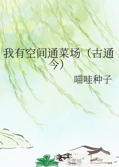 《我有空间通菜场（古通今）》小说封面