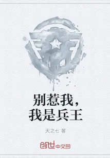 《别惹我，我是兵王》小说封面