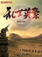 《乱世英豪》小说封面