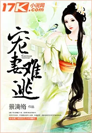 《宠妻难逃》小说封面
