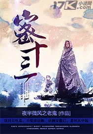 《密十三》小说封面