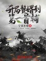 《开局赘婿到第一首辅》小说封面
