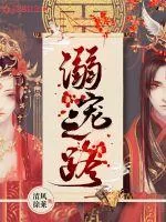 《溺宠之路》小说封面