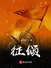 《征颂》小说封面