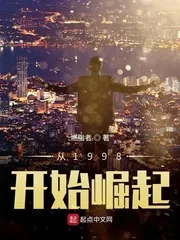 《从1998开始崛起》小说封面