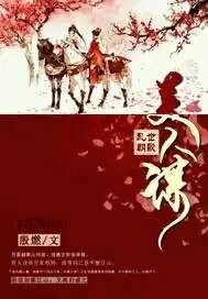 《乱世朝歌美人谋》小说封面