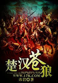 《楚汉苍狼》小说封面