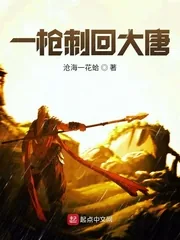 《一枪刺回大唐》小说封面