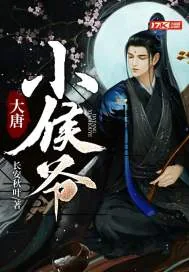《大唐小侯爷》小说封面
