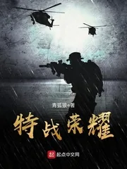 《特战荣耀》小说封面