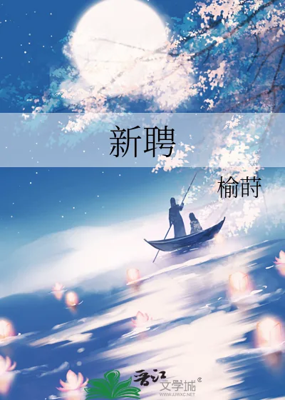 《新聘》小说封面