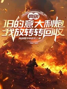 《亮剑：旧的意大利炮我放转转回收》小说封面