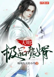 《大明极品赘婿》小说封面