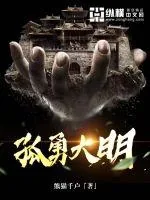 《孤勇大明》小说封面