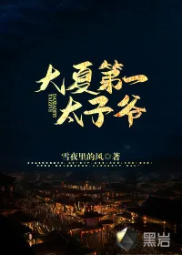 《大夏第一太子爷》小说封面