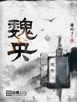 《魏央》小说封面