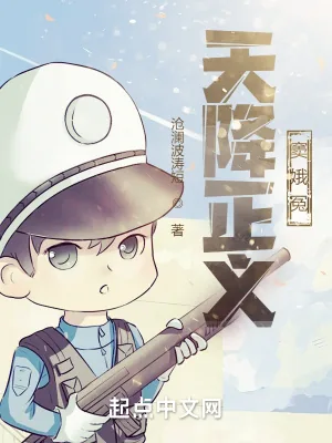 《天降正义窦娥冤》小说封面