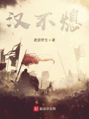 《汉不熄》小说封面