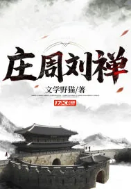 《庄周刘禅》小说封面