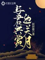 《与君共赏边关月》小说封面