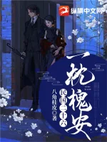 《民国二十六：一枕槐安》小说封面