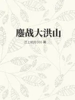 《鏖战大洪山》小说封面