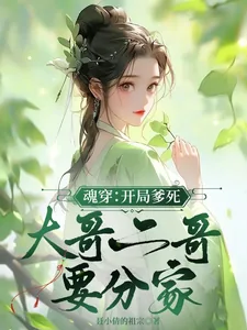 《魂穿：开局爹死，大哥二哥要分家》小说封面