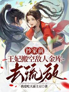 《抄家前，王妃搬空敌人金库去流放》小说封面