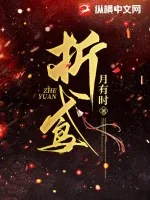 《折鸢》小说封面