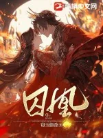《囚凰》小说封面