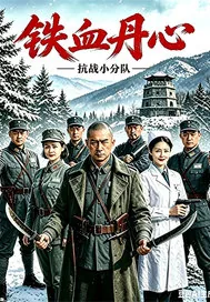 《铁血丹心之抗战小分队》小说封面