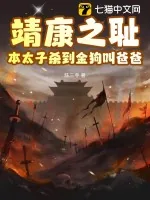《靖康之耻？本太子杀到金狗叫爸爸》小说封面