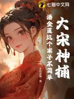 《大宋神捕：潘金莲这个案子不简单》小说封面