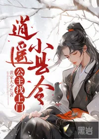 《逍遥小县令：公主找上门》小说封面