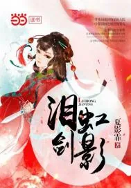 《泪虹剑影》小说封面